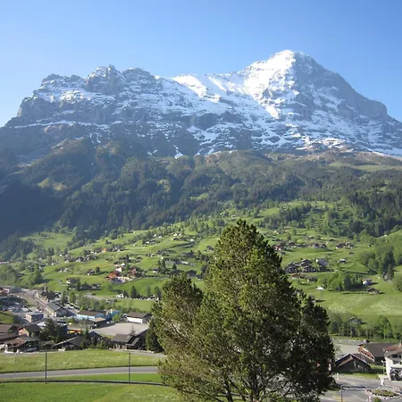 Aiiny Гріндельвальд