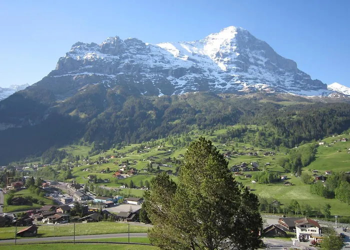 Aiiny Гріндельвальд