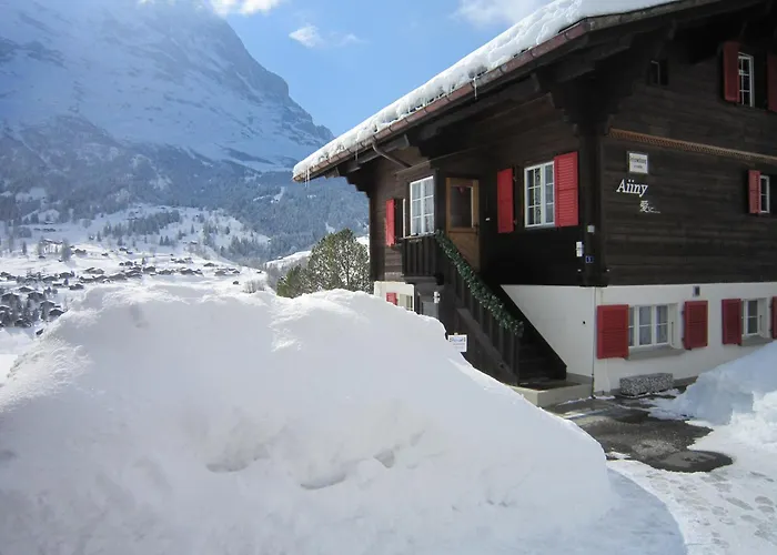 Aiiny * Гріндельвальд